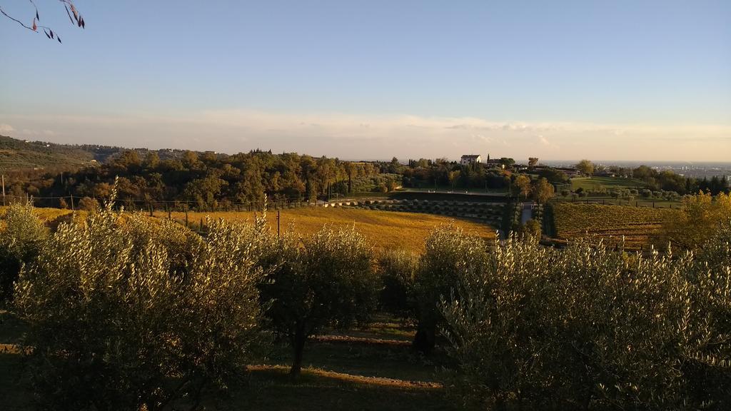 B&B Villa Roncatti Parona di Valpolicella Екстериор снимка