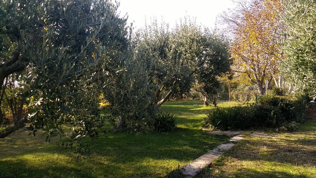 B&B Villa Roncatti Parona di Valpolicella Екстериор снимка